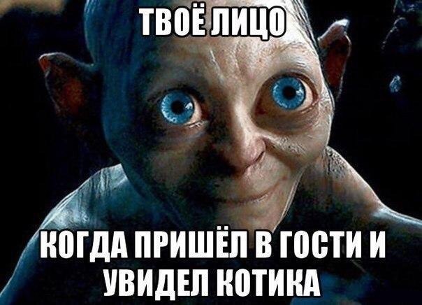    :D - 7  2017  20:00