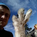 ���� ������, ������ �����, 37 ��� - ��������� 12 ��� 2017 � ������ ���� ����������