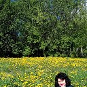 ���� ������, ������� - ��������� 8 ���� 2017