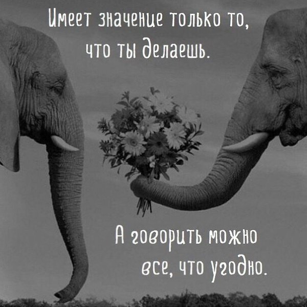  - 16  2017  03:32