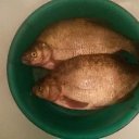 ���� ������, ����� ������, 58 ��� - ��������� 30 ���� 2017 � ������ ���������� ���� 2017�