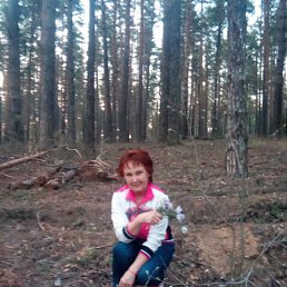 ����, ������