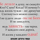 , , 55  -  31  2017    