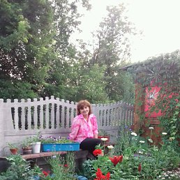 �����, �����������, 60 ���