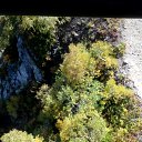  , , 51  -  5  2017    2017