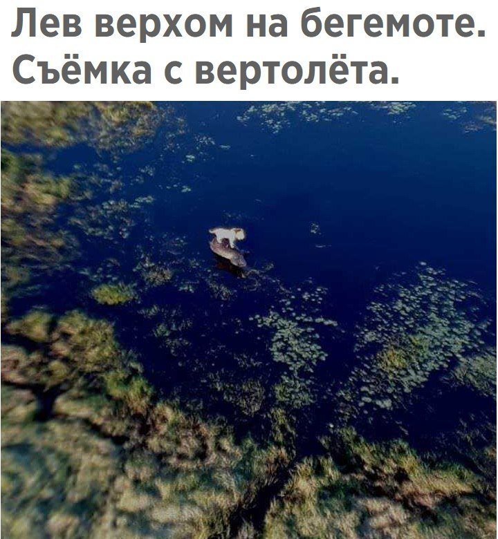  - 17  2017  03:47