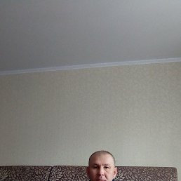 , 51 , 