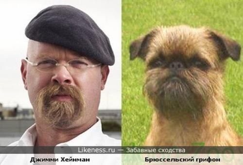  ...)))