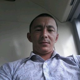 ������, 40 ���, ������