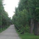 ���� ����, ���������, 46 ��� - ��������� 17 �������� 2017 � ������ ���� ����������