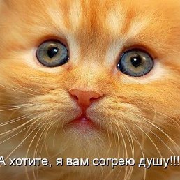 ���� �������, �������, 65 ��� - ��������� 6 ������ 2017
