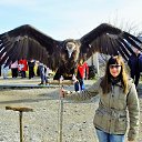 ���� ����� �� ������� ���� ����������