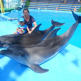 ���� �����, ������, 52 ���� - ��������� 1 ��� 2017