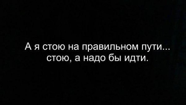  ,  .© - 6  2017  03:46