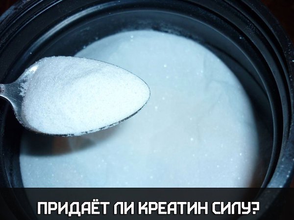 Придаёт ли креатин силу? Внутриклеточная энергия, необходимая для сокращения мышц, поставляется АТФ ...