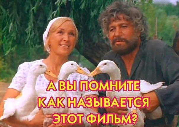    - 13  2017  15:54