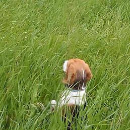 ���� �������, ���������, 45 ��� - ��������� 28 ���� 2017