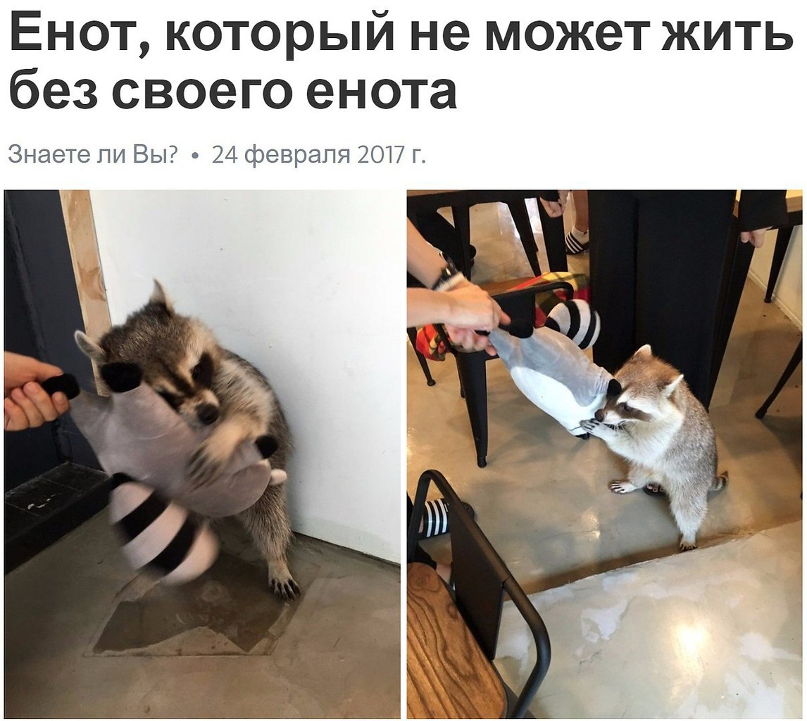  - 5  2017  02:00