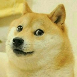 , , 28 