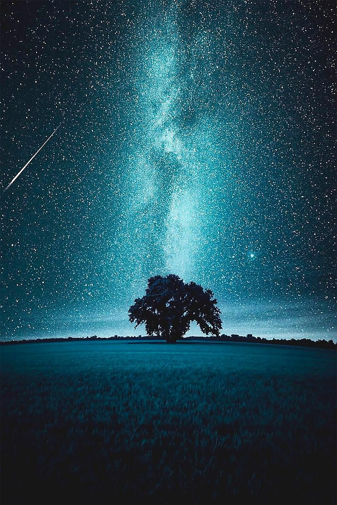 . , !      12.    - ...