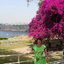  , -, 71  -  2  2017   , 2017