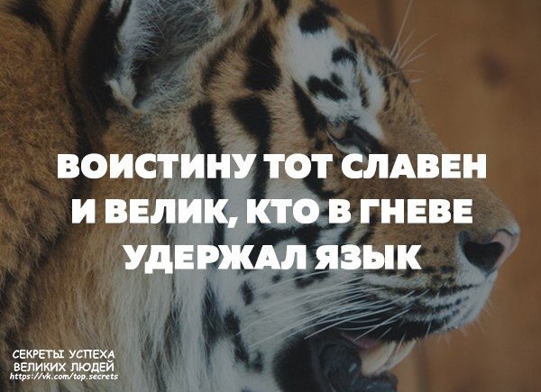    - 12  2017  19:59