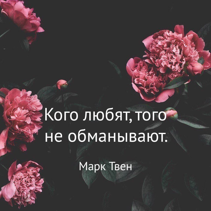   - 5  2017  14:18