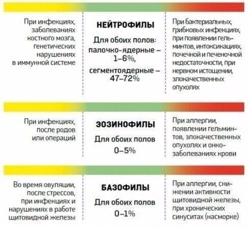 Как расшифровать анализ крови? #полезное@rules4life - 3