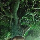 ���� ���, ������, 56 ��� - ��������� 9 ������� 2017 � ������ ���� ����������