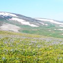 ზარზმა �� ������� ������ ��������