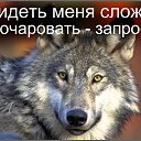 ���� // I., ����� - ��������� 18 ��� 2017 � ������ ���� ����������