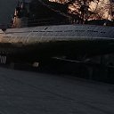 ���� �����, �������������, 62 ���� - ��������� 11 ��� 2017 � ������ ���������� ������