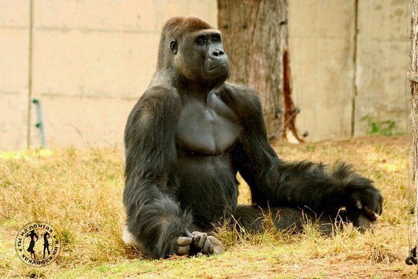 ������! ������� ������� ����������� ���������� ��-�� ������ ����� �� ������� ����������� �������� �� ...