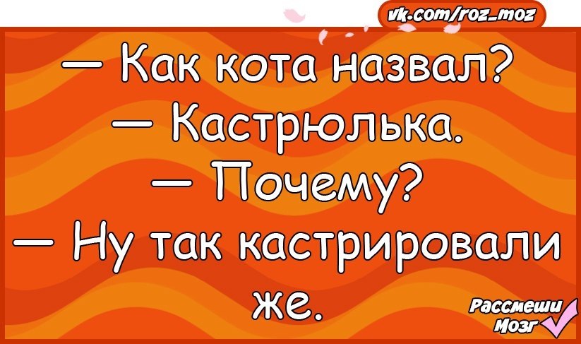 Анекдоты как называют. Хулимяу анекдот. Хулимяу Кудабля. 25 Мая анекдот. Юмор Хулимяу кот.