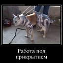  Sam, , 47  -  19  2017    