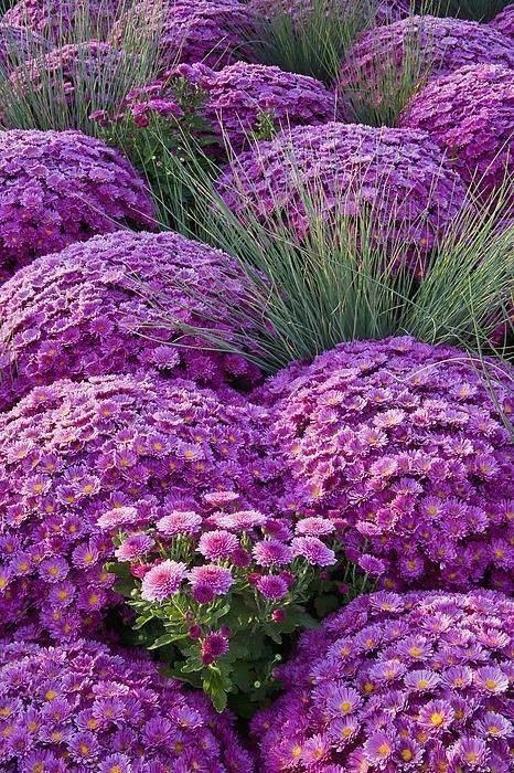 ������ �������� - 5 ������� 2017 � 14:32