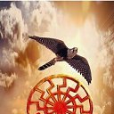 ���� �������� �������, ������ - ��������� 14 �������� 2017 � ������ ������ ��������