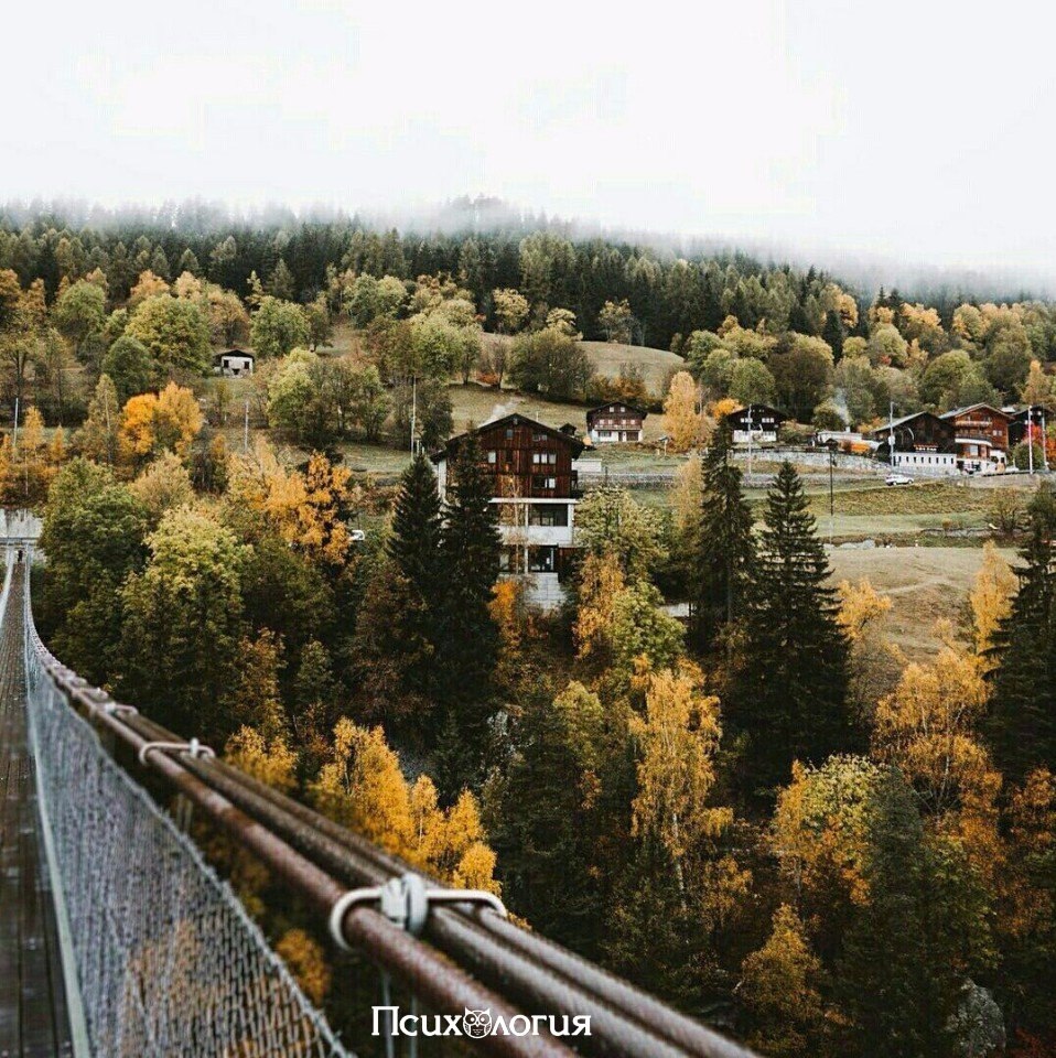 :   .