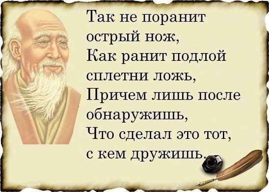  | Wisdom & Beauty - 15  2017  17:15