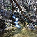  , , 60  -  11  2017     ,,01.04.17