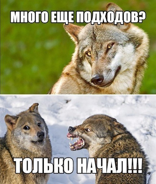 SportFeed - 23  2017  18:35