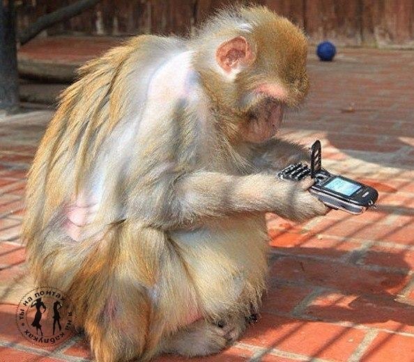Мужики!!!... А Вы знаете, что такое МИКРОИНСУЛЬТ???... Это когда ты заходишь в комнату, а твой ...