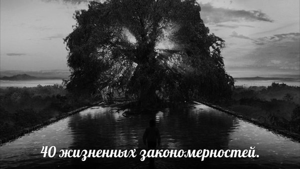 40 жизненных закономерностей. 1. Постулат Хорнера: Опыт растет прямо пропорционально выведенному из ...