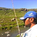 ���� ø�����, ������ - ��������� 1 ������ 2017 � ������ ���� ����������