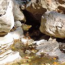  , , 60  -  16  2017        ,,14.10.17.