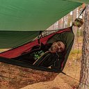 ���� ���������, �����-���������, 42 ���� - ��������� 15 ���� 2017 � ������ ���� ����������