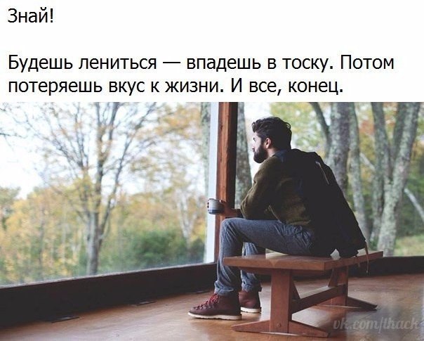   - 3  2017  21:16