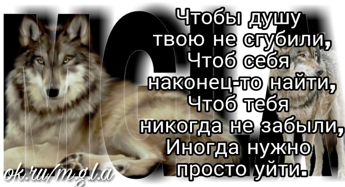   - 18  2017  15:19