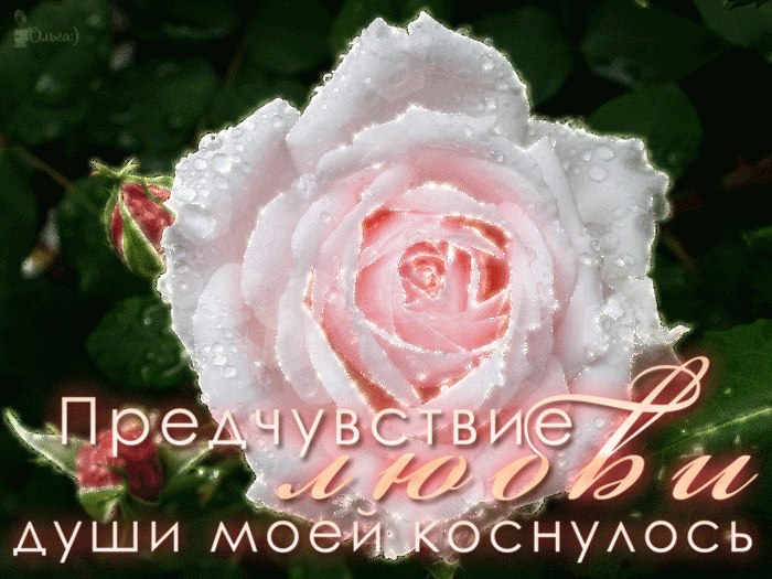  - 31  2017  03:46