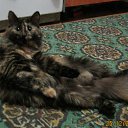 ���� �������, ����� - ��������� 9 ������� 2017